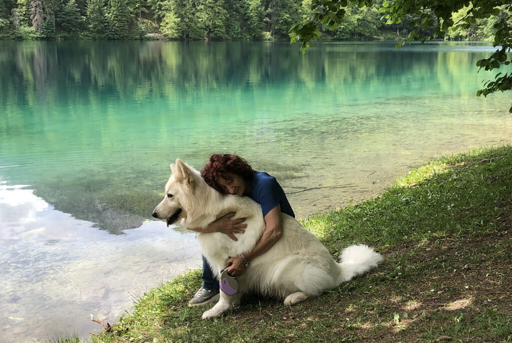 pastore svizzero bianco carattere, pastore svizzero bianco allevamento Lungoresina, Lungoresina Toruk Makto, laghi di Fusine,