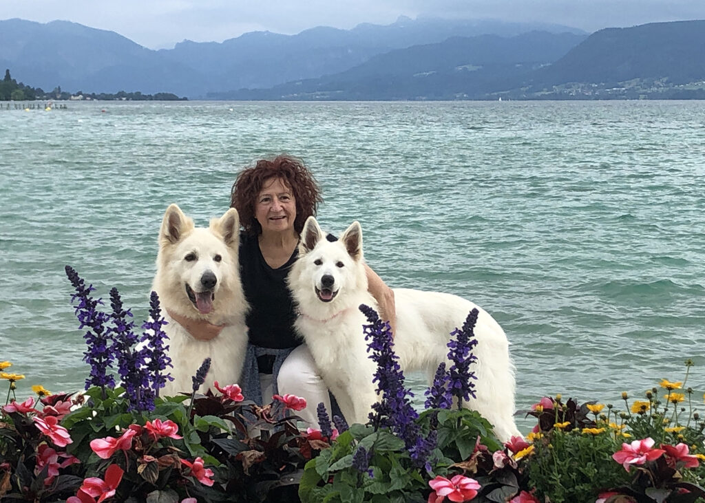 pastore svizzero bianco Lungoresina lago attersee austria, Toruk Makto, Habanera,